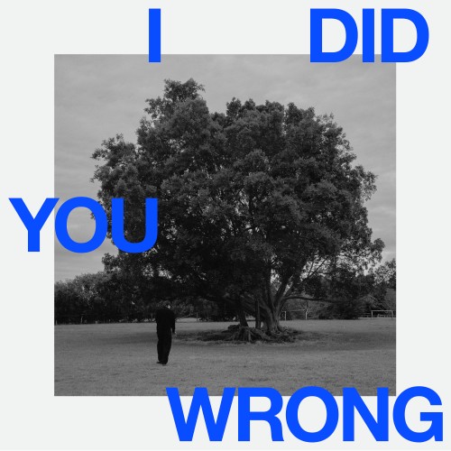 I Did You Wrong (Laurence Guy Remix) - 