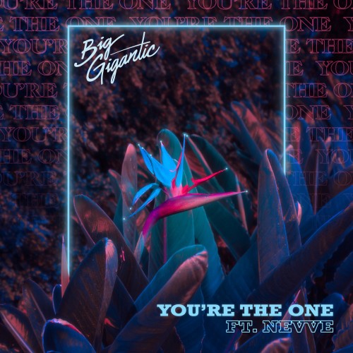 You’re The One - Big Gigantic featuring Nevve